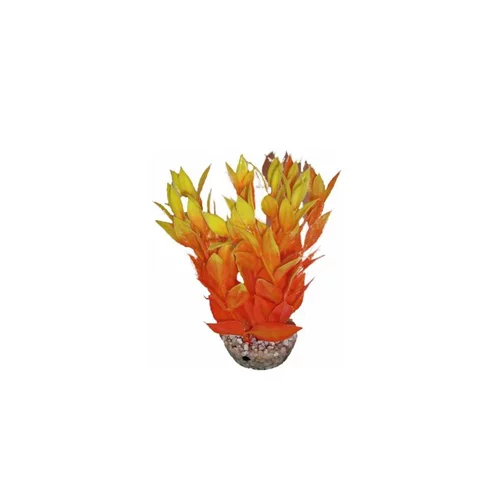 Le choix pour l’extérieur:Dracaena orange en plastique 13 cm