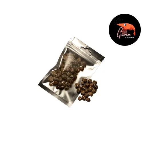 Solution maison：Graines de moringa pour les crevettes d'aquarium Gioiashrimp – sachet de 50