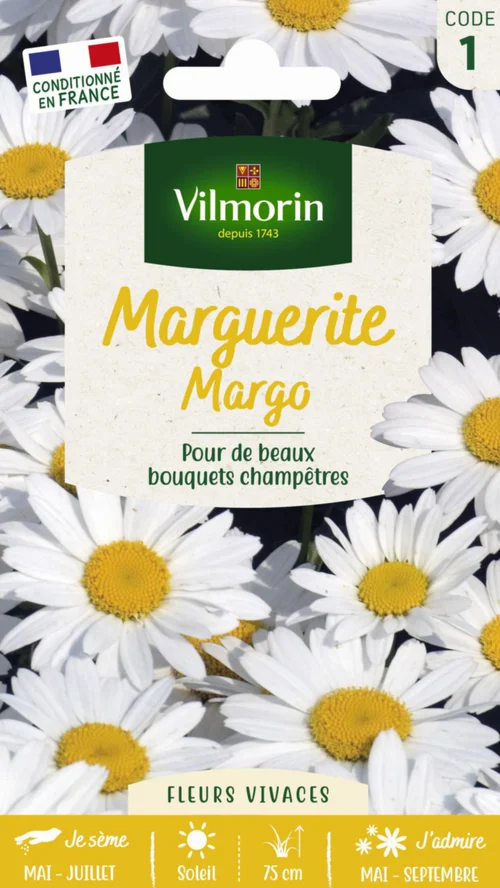 Bien pensé jardin：Graines de Marguerite Margo Vilmorin - graines à semer