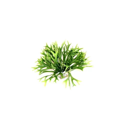 Pour un extérieur bien équipé:Massif d’algue vert en plastique petit modèle Ø 20 x 14 cm
