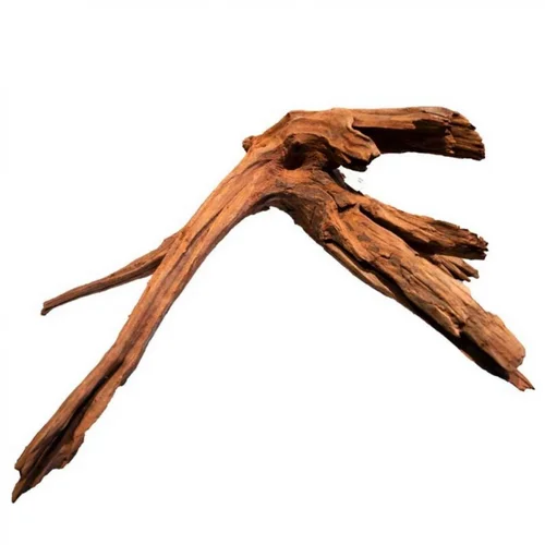 Vie au jardin：Racine de mangrove naturelle SUPERFISH pour aquarium - 40cm