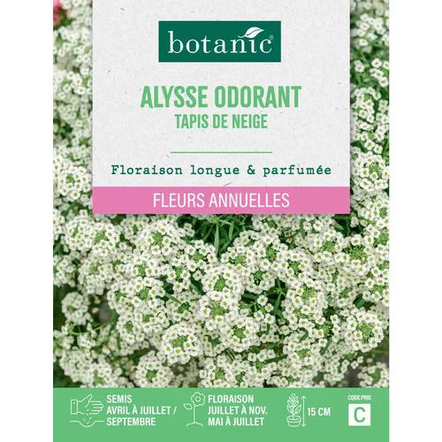 Jardin choix:Graines de fleurs d'Alysse odorant tapis de neige botanic®