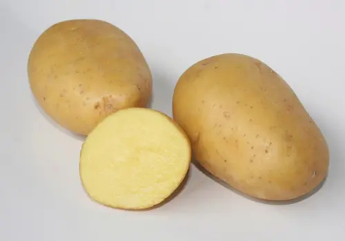 Pour profiter pleinement de l’extérieur:Sachet de pommes de terre maïwen calibre 28/35 - 3 kg
