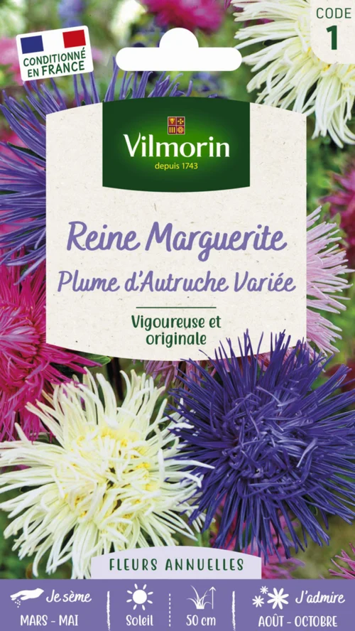 Idée nature：Reine Marguerite Plume d'Autruche variée Vilmorin - graines à semer