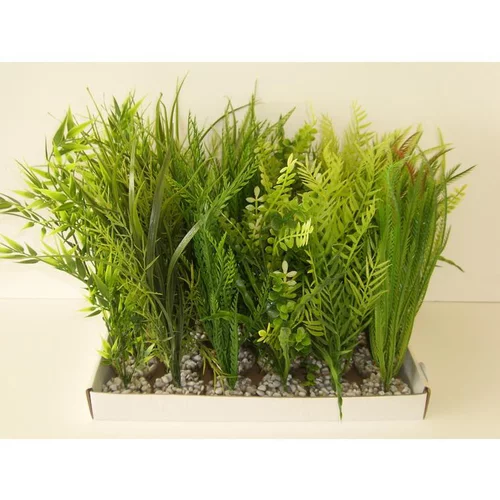Maison et jardin:Plante verte pour aquarium coloris vert Labeo