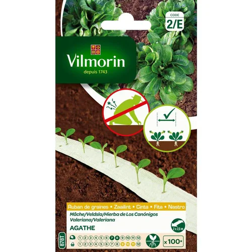 Au service de votre jardin：Ruban de graines de Mâche Agathe Vilmorin