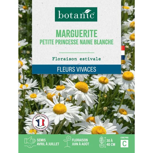 Le compagnon du jardin:Graines de fleurs de Marguerite petite princesse naine blanche botanic®
