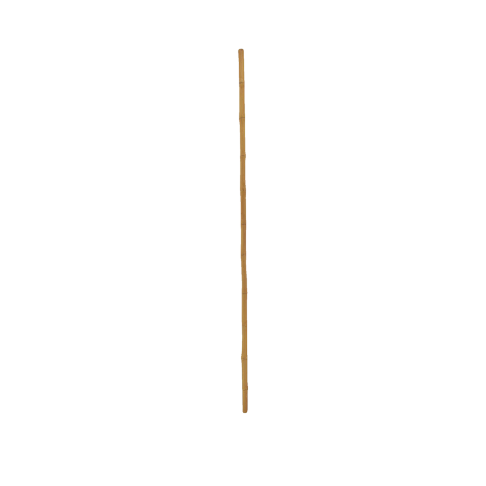 EUROMARINE Objet décoratif europalms bamboo pole, ø=3cm, 200cm