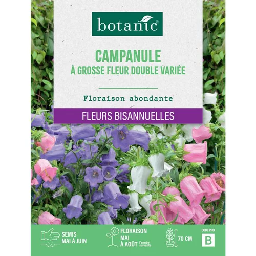 Jardin malin：Graines de fleurs de Campanule à grosse fleur double variée botanic®