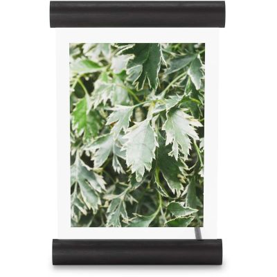Cadre photo en bois 13 x 18 cm Scroll (Noir)