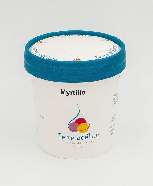 Idée extérieur：Sorbet myrtille sauvage Terre Adélice - Pot de 120 ml