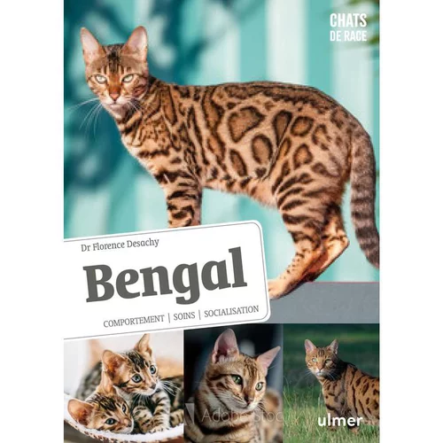 Pour votre espace：Bengale