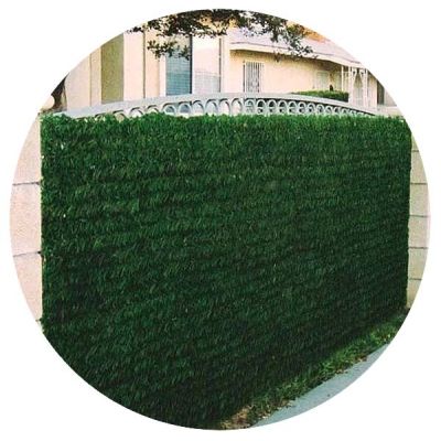 Haie artificielle 140 brins vert thuya en rouleau (1.5 x 3 m (Lot de 10))