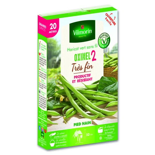 Pour faciliter le quotidien au jardin：Graines de haricot vert Oxinel 2 très fin Vilmorin - graines à semer