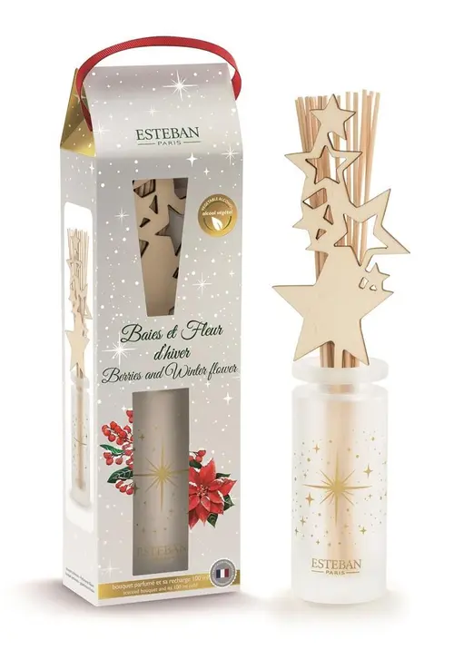 Bien pensé extérieur：Bouquet parfumé et recharge Esteban Baies et fleurs d’hiver - 100 ml
