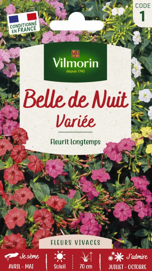 Pour simplifier le jardin：Belle-de-nuit Variée Vilmorin - graines à semer