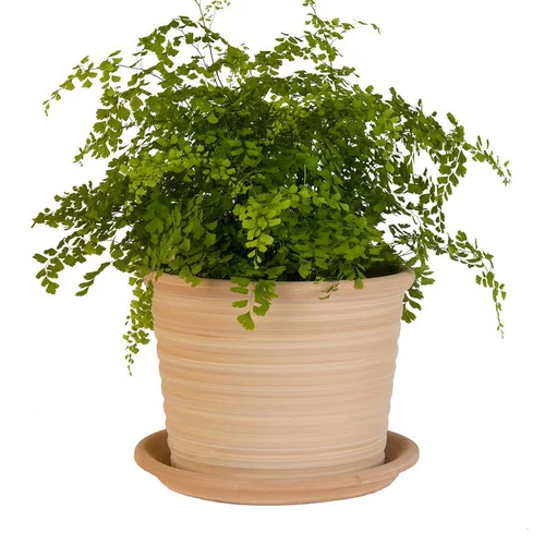 Confort dehors：Pot strié gamme cocio liso Ø 24 cm