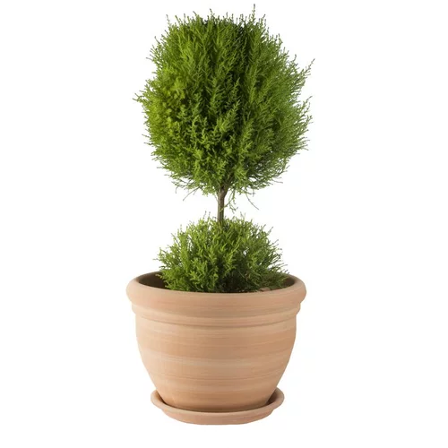 Choix pour le jardin：Pot gamme Coco Ø 34 cm
