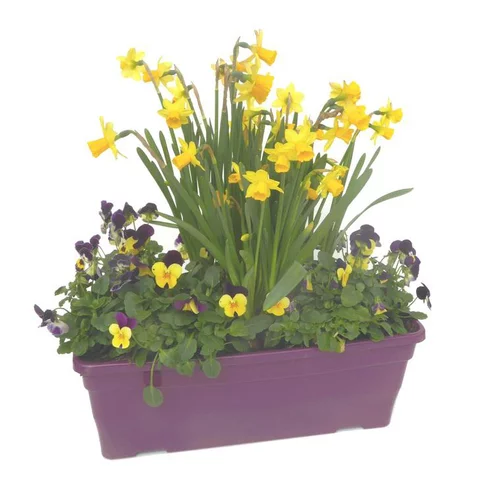 Sélection jardin：Jardinière de Printemps. La jardinière déco de 40 cm