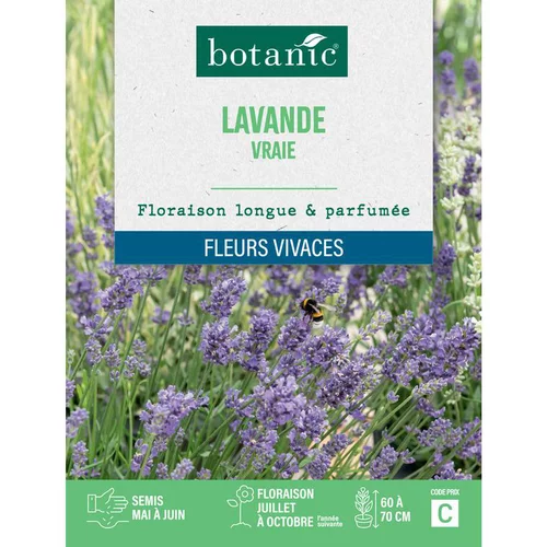 Confort dehors：Graines de lavande variée botanic® - graines à semer