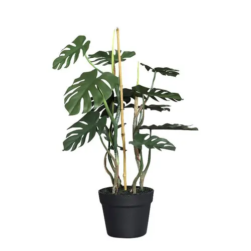 Autour du jardin：Plante artificielle Philo en pot coloris vert - 58 cm