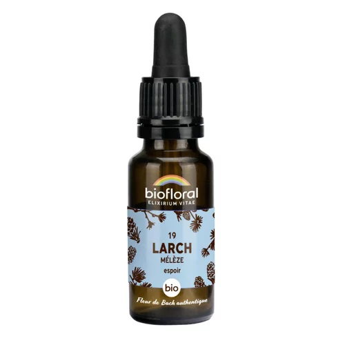 Pour améliorer votre jardin:Élixir n°19 Biofloral de mélèze en flacon de 20 ml