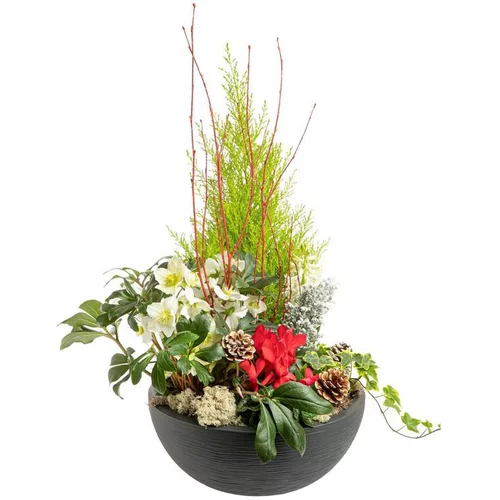 Accessoire jardin：Composition de Noël coupe graphique multicolore - 40 cm