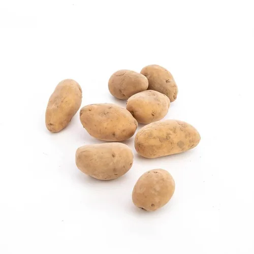 Extérieur essentiel：Pomme de terre Allians bio de France - Prix au kg