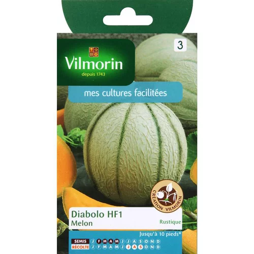 L’essentiel pour l’extérieur：Graines de melon diabolo Vilmorin - graines à semer