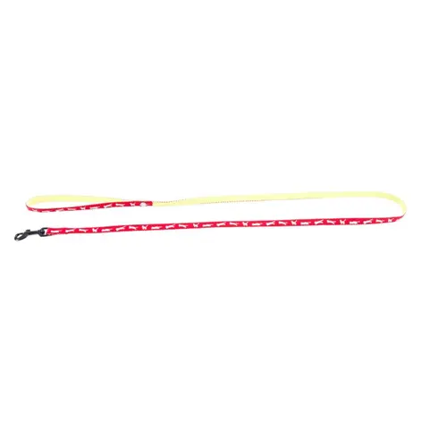 Pour tous vos projets jardin：Laisse Cat Bi-color pour chat rouge - 120 cm