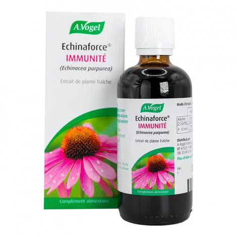 Extérieur qualité：Extrait de Plantes Fraîches Echinacée - 50 ml