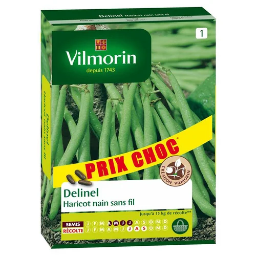 Espace vert essentiel：Haricot nain sans fil Delinel Vilmorin - graines à semer