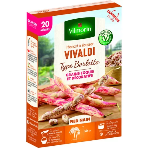 Pour valoriser vos extérieurs：Graines de haricot nain Vivaldi Vilmorin - graines à semer
