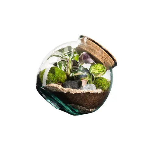 Choix au jardin：Terrarium autonome botanic® Kuego - Taille M Ø 19 cm H 19 cm