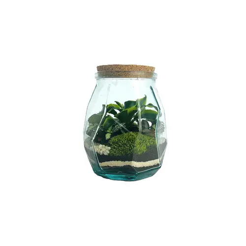 Une solution pratique pour le jardin：Terrarium autonome Origami M botanic® - Ø 17 x 21 cm