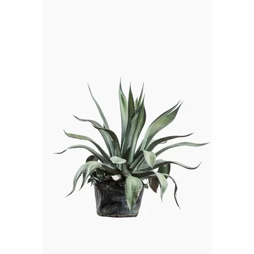 Adapté à l’extérieur：Agave Americana en pot déco de 12 L vert