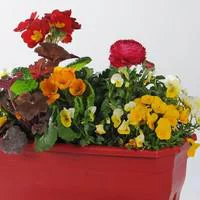 Extérieur durable:Jardinière variée coloris orange. La jardinière en osier de 40 cm