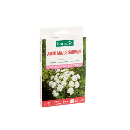 Une solution adaptée à l’extérieur：Ammi Majus sauvage botanic® - graines à semer (3 m²)