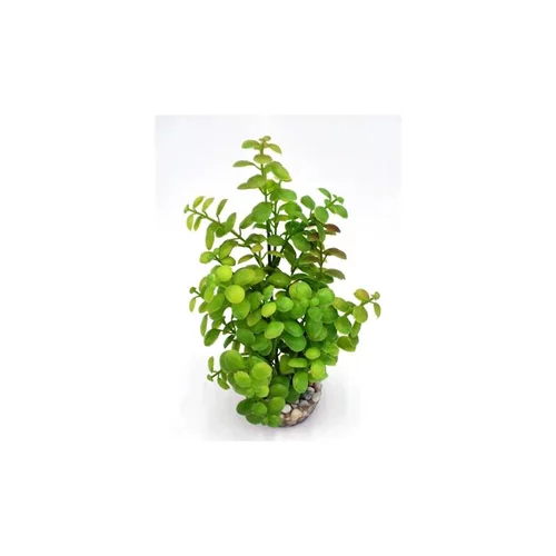 Pour embellir le jardin:Arbre lentille vert en plastique grand modèle 22 cm