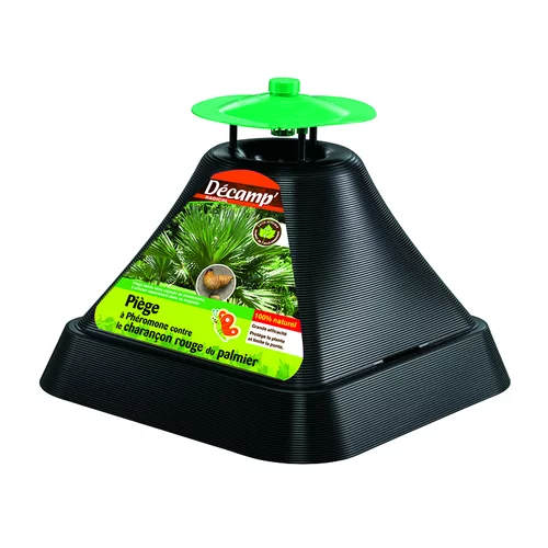 Au service de votre jardin：Piège charançon palmier