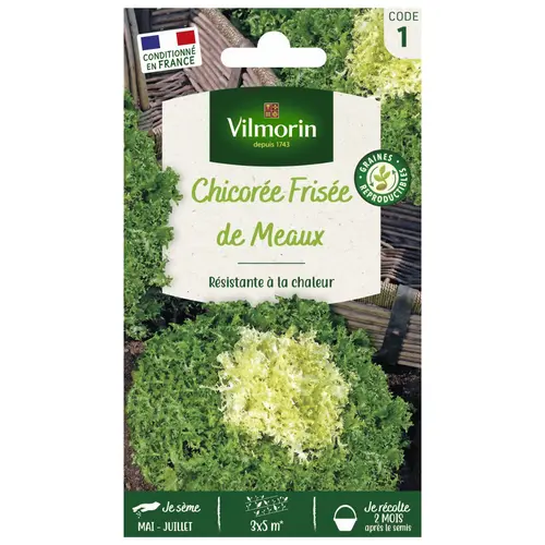 Accessoire extérieur：Chicorée de Meaux Vilmorin - graines à semer