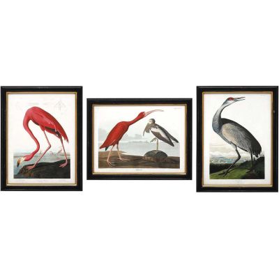 Ensemble de 3 cadres Oiseaux