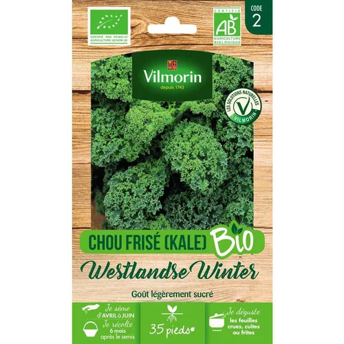 La solution pour vos extérieurs:Graines de chou kale frisé westlandse winter bio Vilmorin - graines à semer