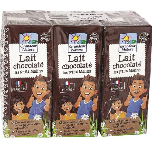 Pour vos envies de jardin：Lait de vache UHT chocolaté Grandeur nature - 6x20 cl