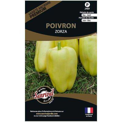 Graines potagères premium poivron (Blanc Zorza)
