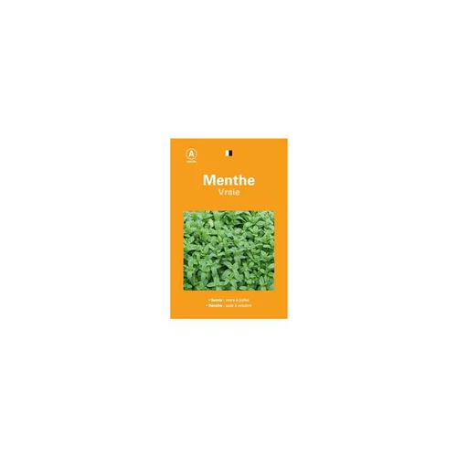 Extérieur tendance：Graines de menthe vraie sélection premier prix - graines à semer