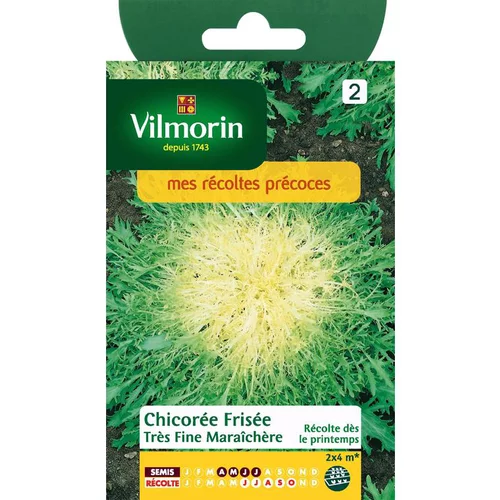 Pour mieux organiser vos extérieurs：Graines de chicorée frisée très fine maraîchère Vilmorin - graines à semer