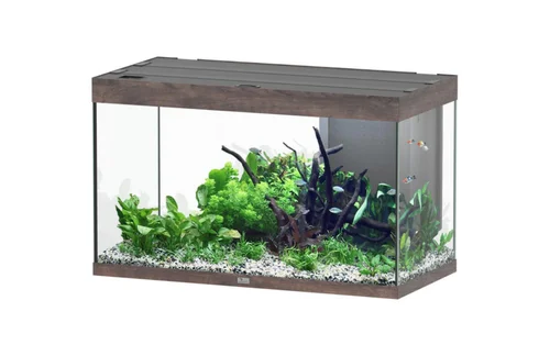 Sélection jardin:Aquarium coloris chêne foncé Aquatlantis Sublime Ultra LED 2.0 245 L - 100 x 50 x 60 cm