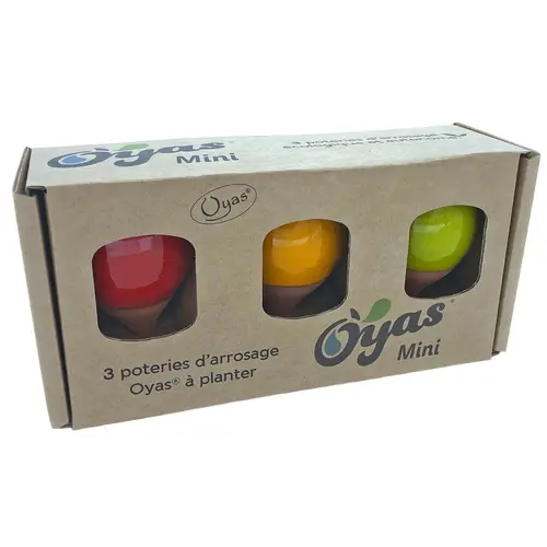 Bien pour le jardin：Oyas à planter mini coloris multicolore