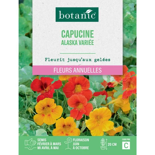 Jardin et déco:Graines de fleurs de Capucine Alaska variée botanic®